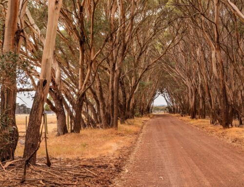 2024 could have been worse with old ways – First Published in Stock Journal on 12/05/2025