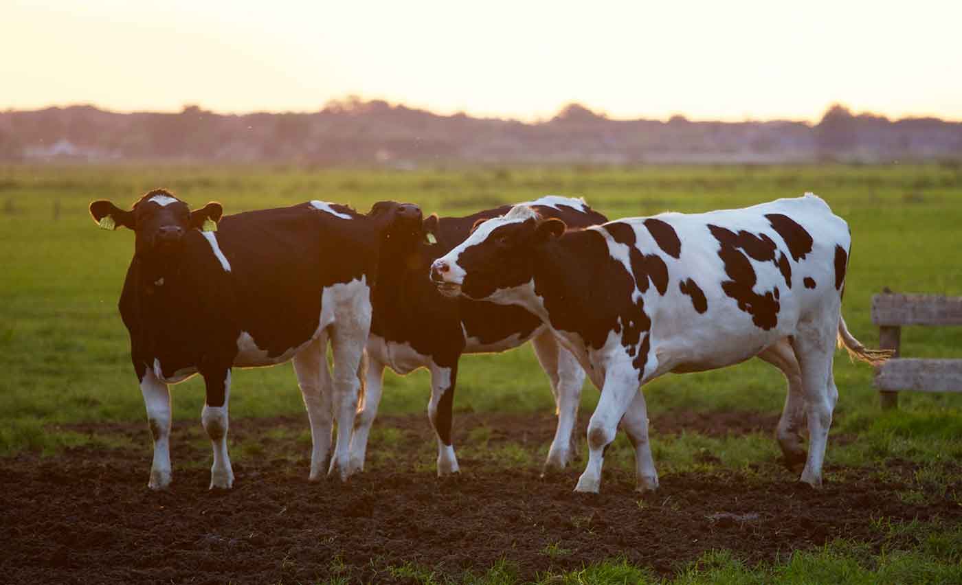 statewide Financial Risks