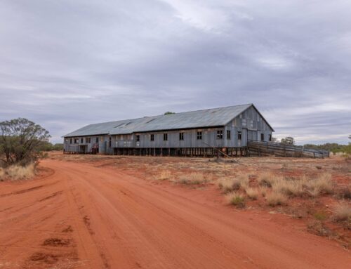 Self-awareness can limit effect of life’s blows – First Published in Stock Journal on 21/03/2022