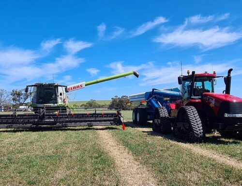 Communication key when working through collaboration issues – First Published in Stock Journal on 22/07/2024