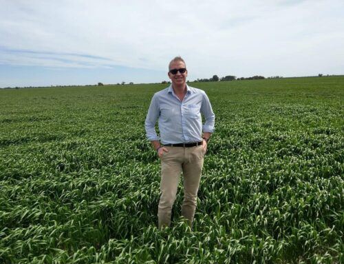 Simple systems can bring about big improvements on-farm – First Published in Stock Journal on 27/10/2025