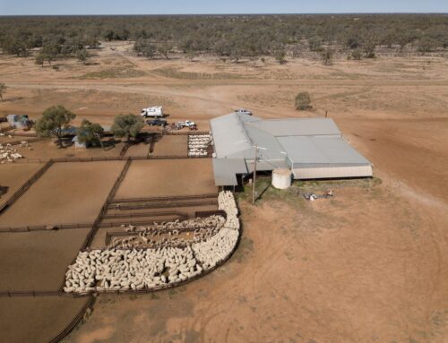 Rural directions sometimes need ingenuity – First Published in Stock Journal on 11/12/2023