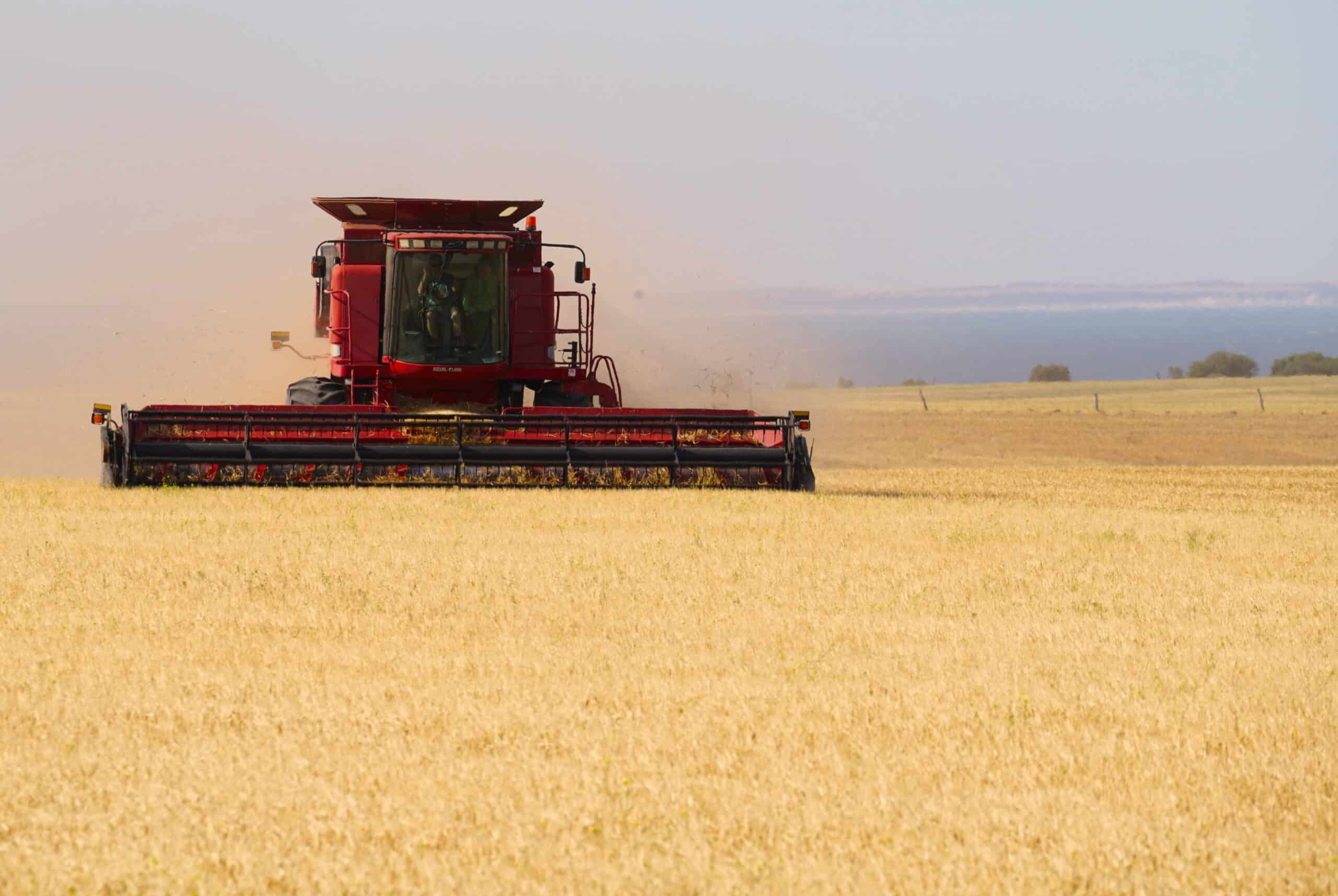 shutterstock 1848475762 scaled