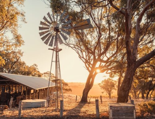 Luke takes leap to align passion with business – First Published in Stock Journal on 17/02/2025