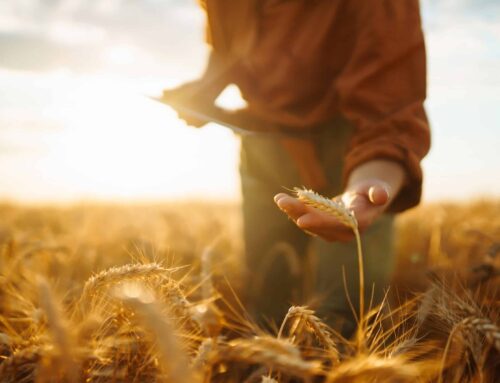 Lessons discovered in different sectors – First Published in Stock Journal on 21/02/2022