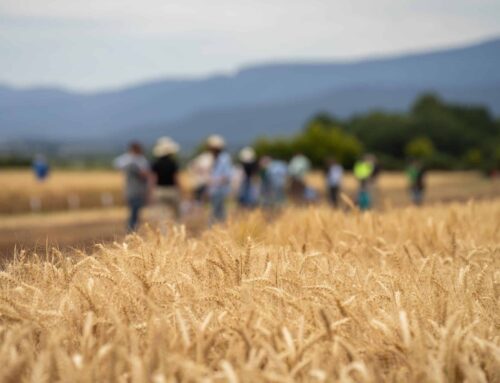 Don’t underestimate value people bring to business – First Published in Stock Journal on 19/02/2024