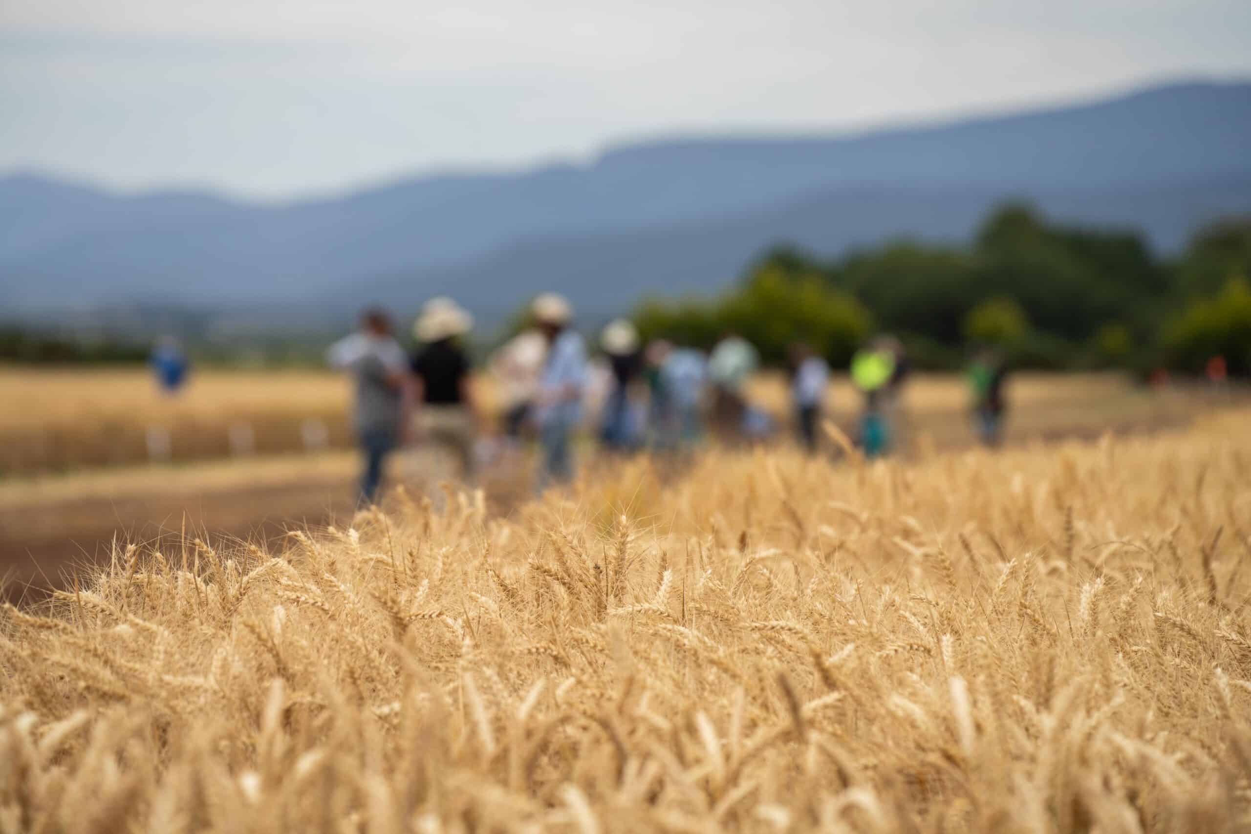 shutterstock 2401105215 scaled