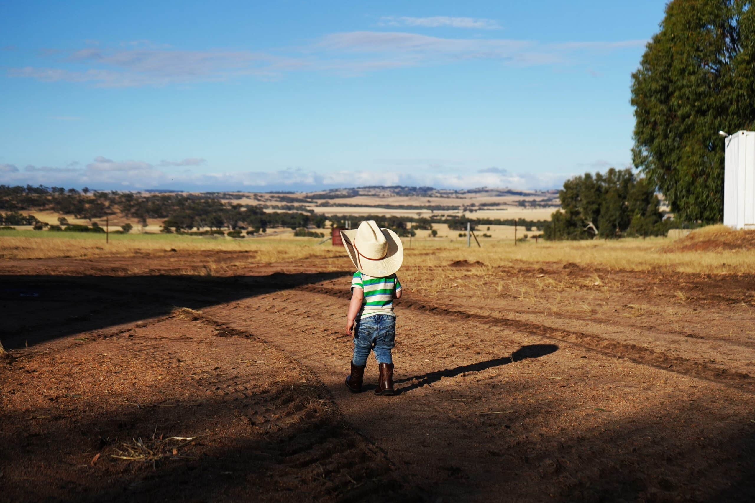 shutterstock 2546941041 scaled